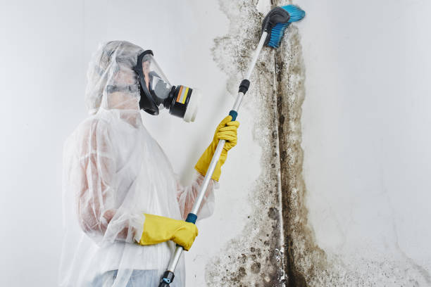 Best Mold Testing  in Hanford, CA