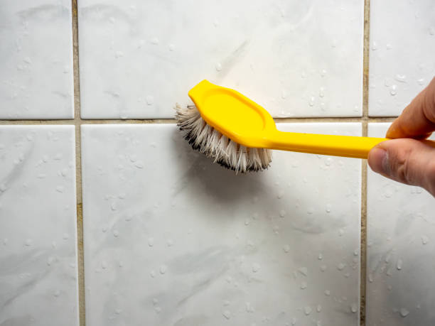 Best Professional Mold Removal  in Hanford, CA