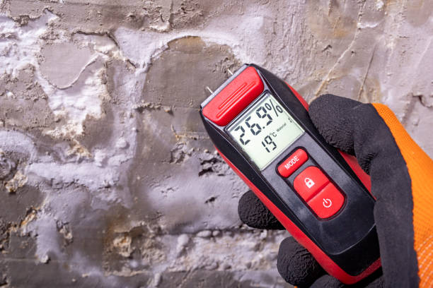 Best Emergency Mold Removal  in Hanford, CA