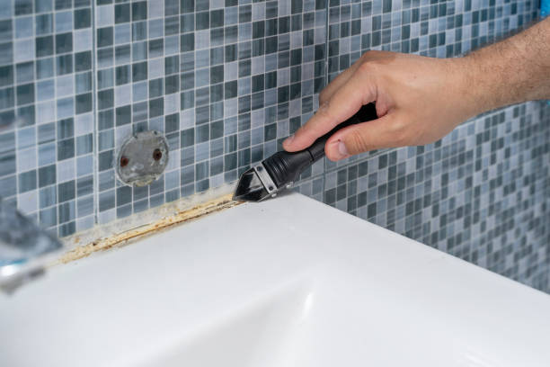 Best Same-Day Mold Removal  in Hanford, CA