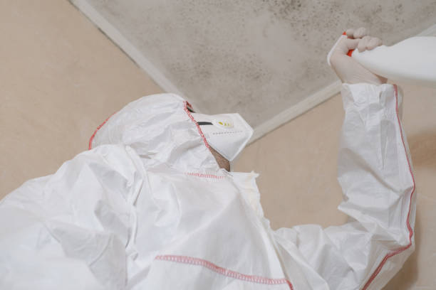 Best Residential Mold Removal  in Hanford, CA