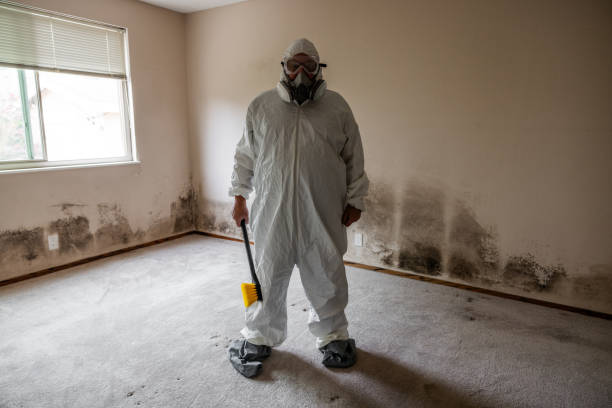Trusted Hanford, CA Mold Removal Experts